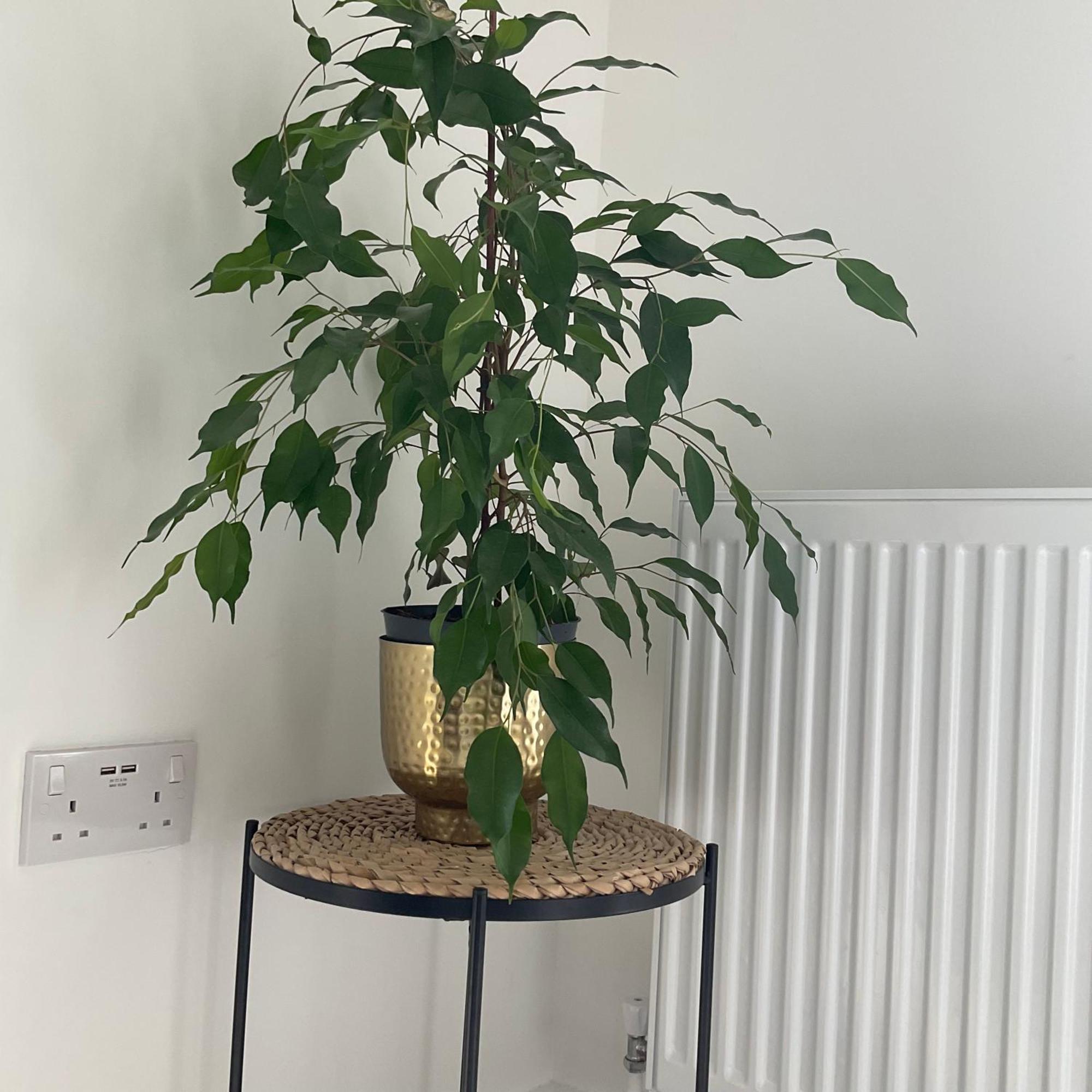 The Parkes A Stylish 3Br House, 5 Mins From Central Birmingham Close To The Edgbaston Stadium, The Hippodrome, Uob, Aston And Bcu, China Town, Kings Heath Bhx Airport And Much More Экстерьер фото